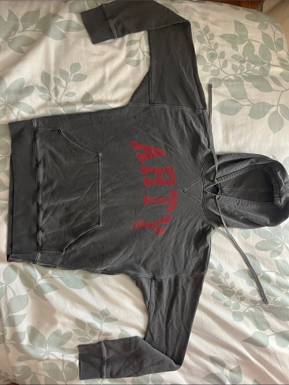 Zadig & Voltaire Dark Gray Hoodie with Red ARMY Graphic